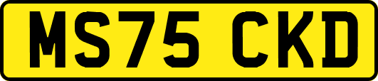 MS75CKD