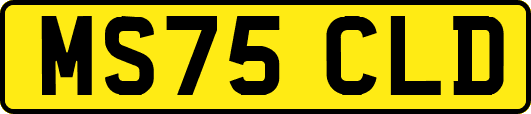 MS75CLD
