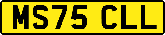 MS75CLL