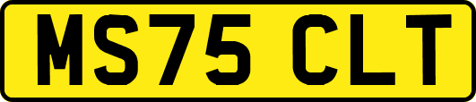 MS75CLT
