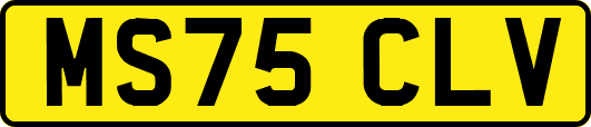 MS75CLV
