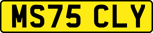 MS75CLY