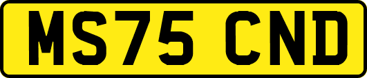 MS75CND