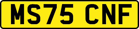 MS75CNF