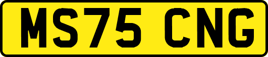 MS75CNG
