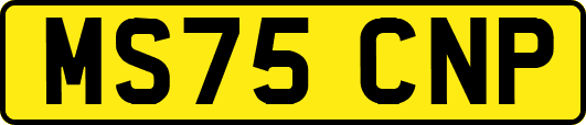 MS75CNP