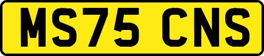 MS75CNS