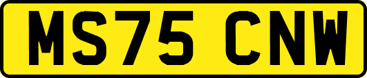 MS75CNW