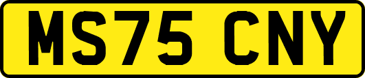MS75CNY