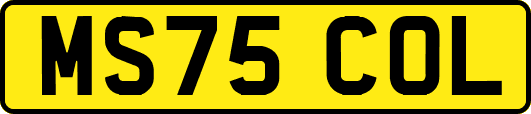 MS75COL