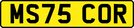 MS75COR