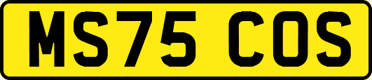 MS75COS