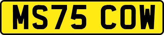 MS75COW
