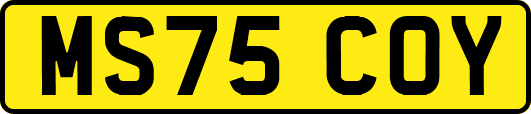 MS75COY
