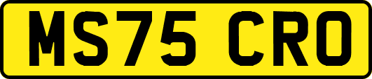 MS75CRO