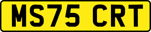 MS75CRT
