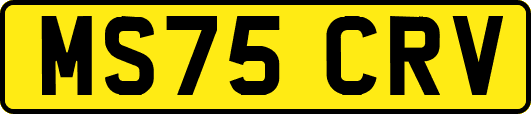 MS75CRV