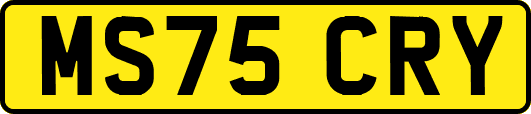 MS75CRY