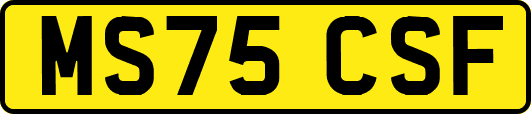MS75CSF