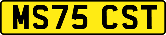 MS75CST