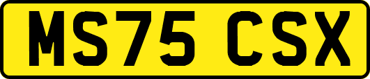 MS75CSX