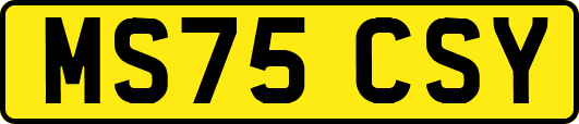 MS75CSY