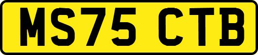 MS75CTB