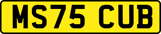 MS75CUB