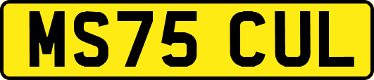 MS75CUL