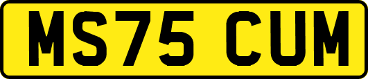 MS75CUM
