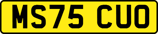 MS75CUO