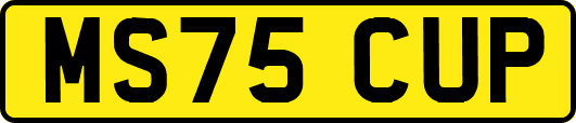 MS75CUP