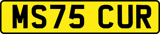 MS75CUR