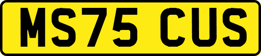 MS75CUS
