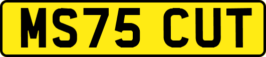 MS75CUT