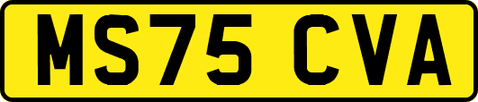 MS75CVA