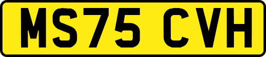 MS75CVH