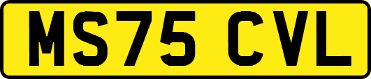 MS75CVL