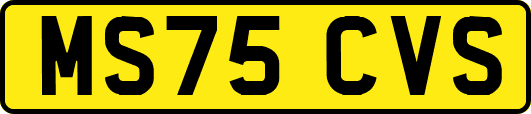 MS75CVS