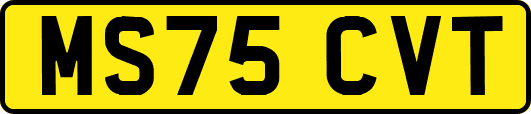 MS75CVT