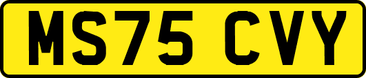 MS75CVY