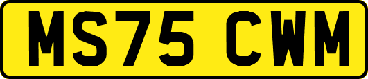 MS75CWM