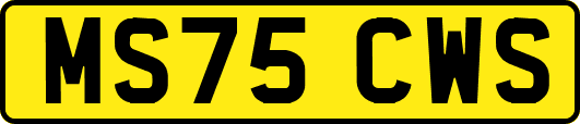 MS75CWS