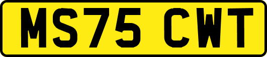 MS75CWT
