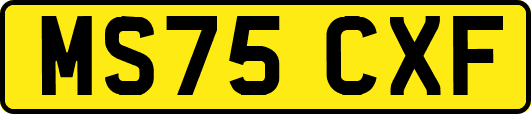 MS75CXF