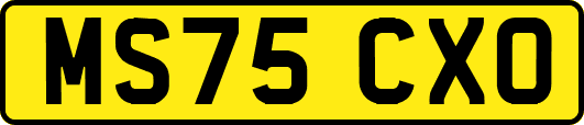 MS75CXO