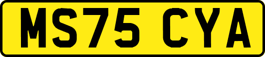 MS75CYA