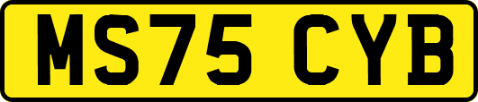 MS75CYB