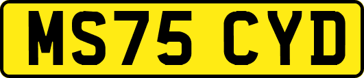 MS75CYD
