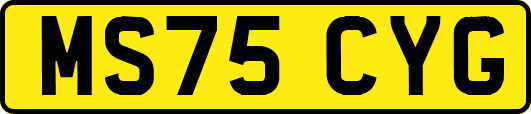 MS75CYG